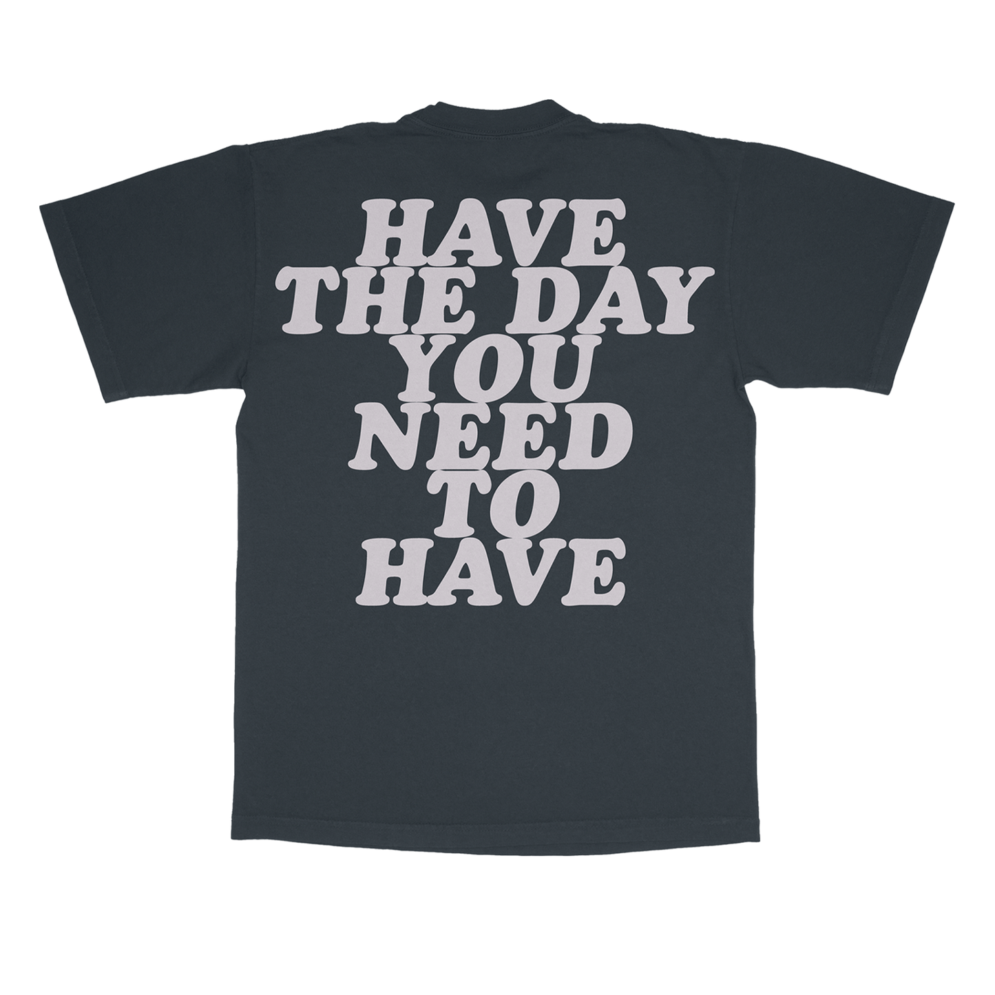 Have The Day You Need To Have Tee